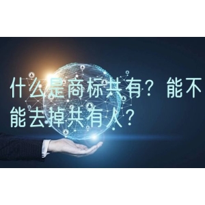 什么是商标共有？能不能去掉共有人？